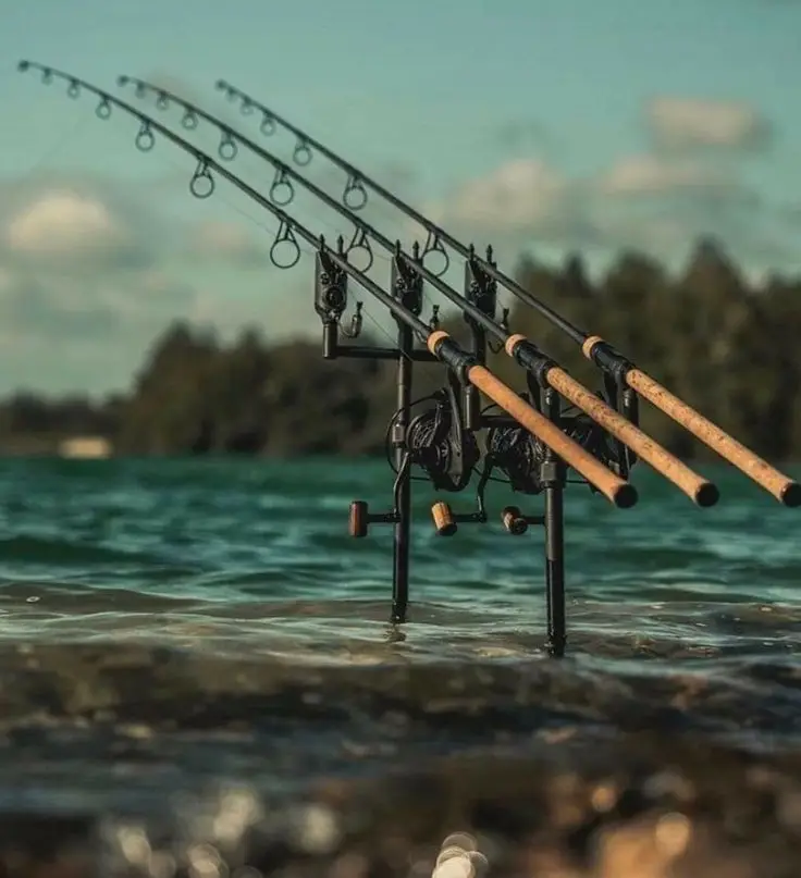 Hengelsport in Dordrecht