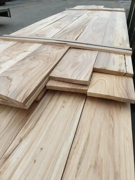 Houthandel in Dordrecht