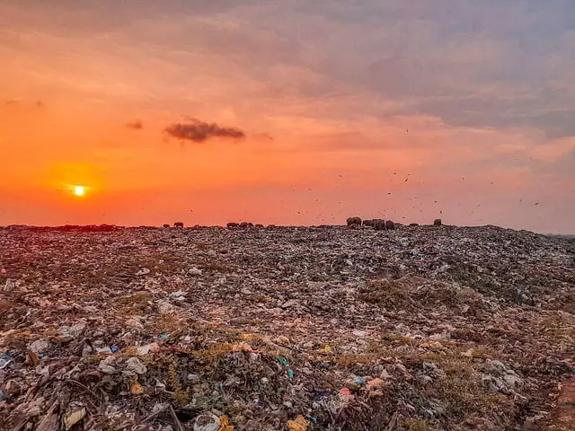 Vuilstort in Dordrecht
