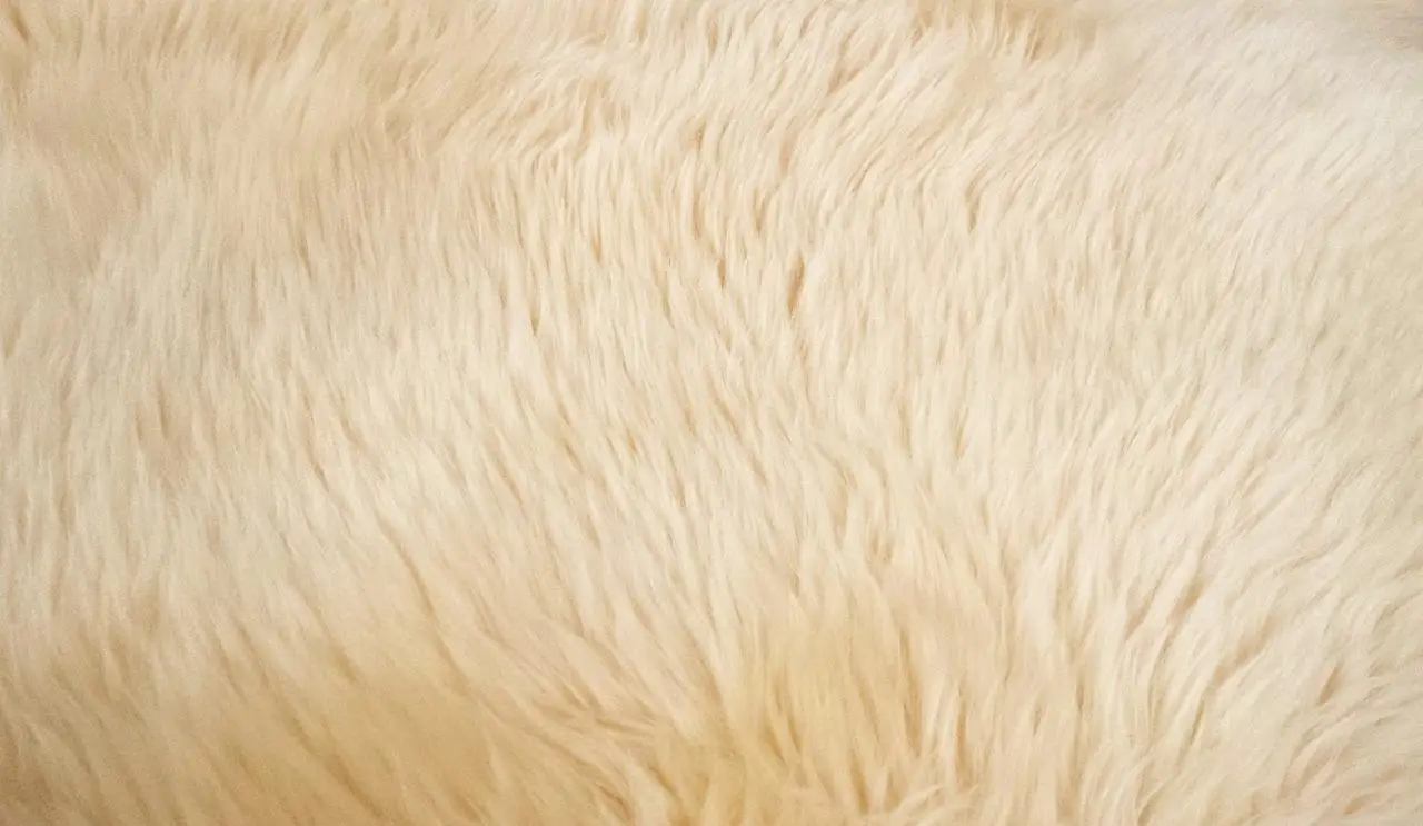 Vloerbedekking in Dordrecht